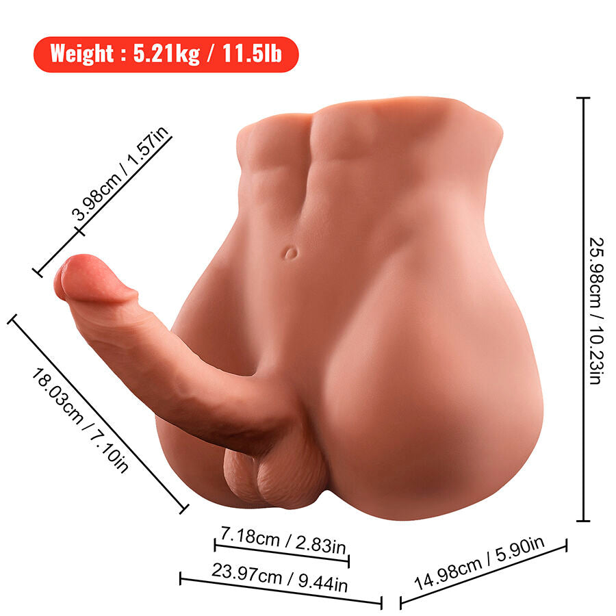 XISE - BERTLETT DILDO ASS REALISTICO DILDO E ANO MASTURBATORE POSIZIONE FRONTALE CON SPINTA 18 CM