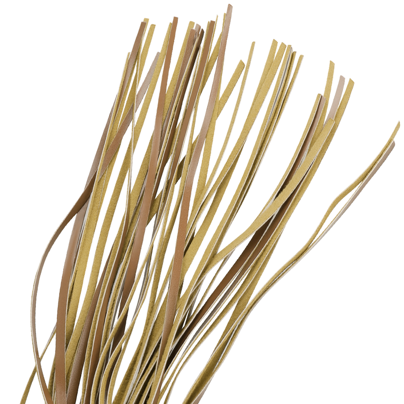 FETISH SOTTOMESSA ORIGINE - FRUSTA IN PELLE VEGANA